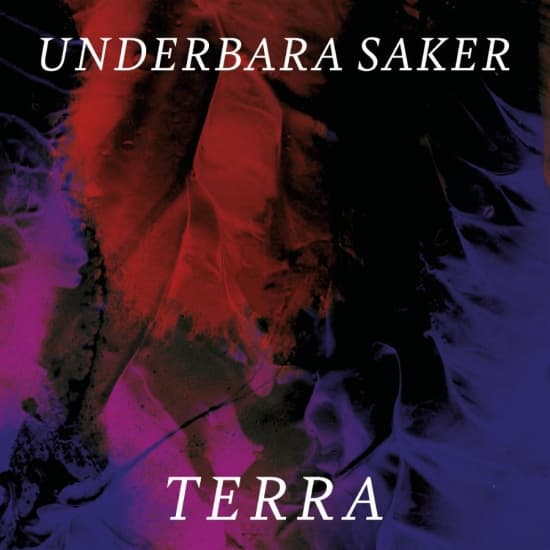 Terra - Underbara Saker (CD)