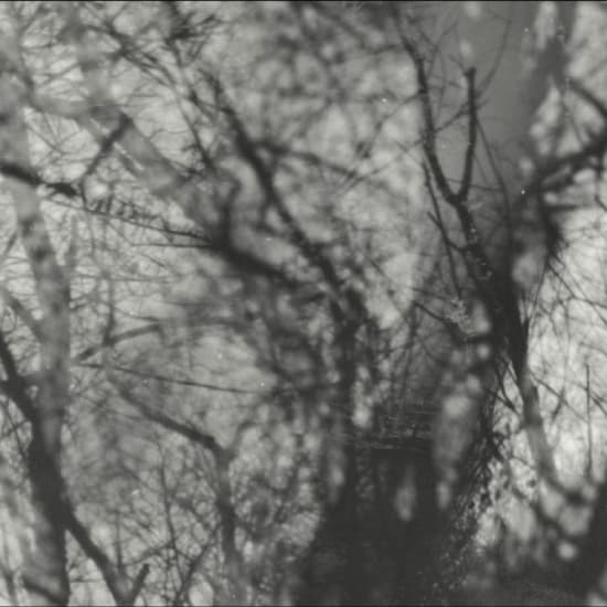 Grouper - Way Their Crept (LP)