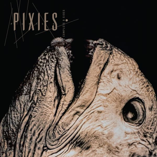 Pixies - Complete B Sides: 1988-97 (LP)