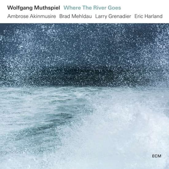 Muthspiel Wolfgang - Where The River Goes (Lp) (LP)