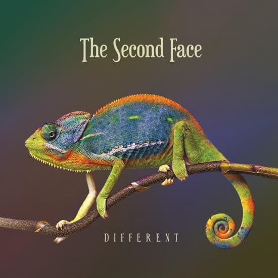 Second Face - Different (LP)