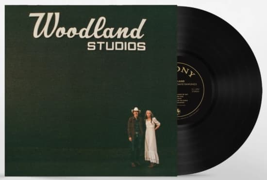 Gillian Welch & David Rawlings - Woodland (LP)