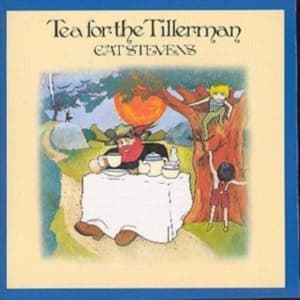 Cat Stevens - Tea For The Tillerman (CD)