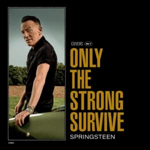 Bruce Springsteen - Only The Strong Survive (LP)