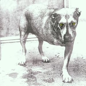Alice In Chains - Alice In Chains (CD)