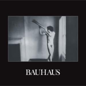 Bauhaus - In The Flat Field (LP)