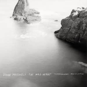 Contemporaneous & David Bloom - Dylan Mattingly: The Wild Hear (CD)