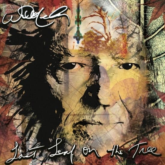 Nelson Willie - Last Leaf On The Tree (LP)
