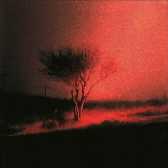Joji - Piss In The Wind (CD)