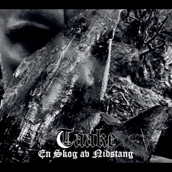 Taake - En Skog av Nidstang (Digipak CD) (CD)