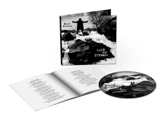 Gilmour David - Luck And Strange (CD)