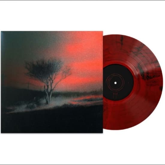 Joji - Piss In The Wind (LP)
