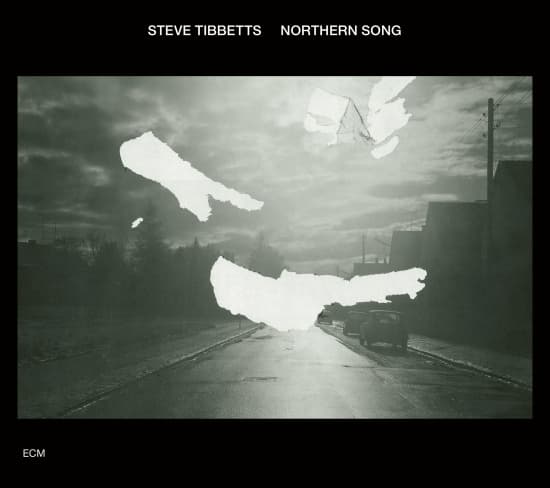 Tibbetts Steve - Northern Song (CD)