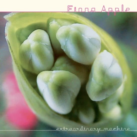 Apple Fiona - Extraordinary Machine (LP)