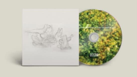 Big Thief - Dragon New Warm Mountain I Believe (CD)