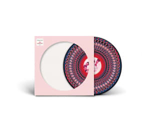 Take That - Everything Changes (30-vuotisjuhla - Zoetrope-kuvalevy) (LP)