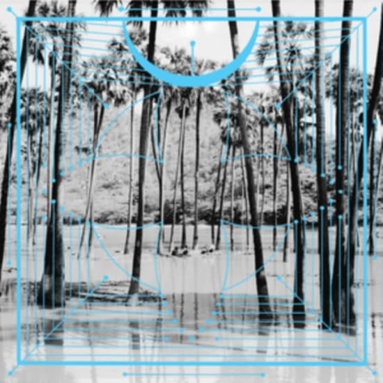 FOUR TET - PINK (LP)