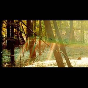 Childish Gambino - Camp (LP)