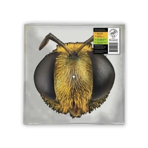 King Gizzard & The Lizard Wizard - Big Fig Wasp (Bee/Bug Shaped Vinyl) (LP)
