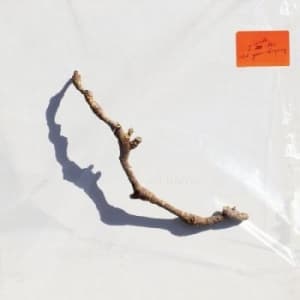 Harvey Pj - I Inside The Old Year Dying (LP)