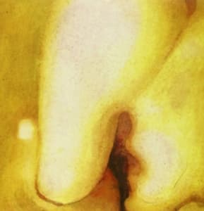 Smashing Pumpkins - Pisces Iscariot (LP)