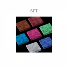 Enhypen - The Sin : Vanish (Fugitives Ver.) SET  Version + WS (CD)
