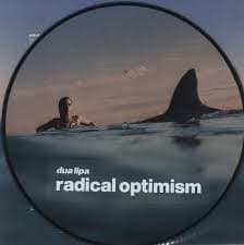 Dua Lipa - Radical Optimism - Picture Disc (LP)