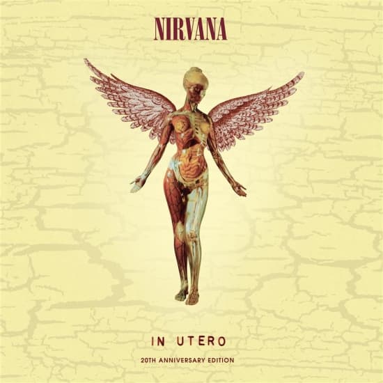 Nirvana - In Utero - 20-årsjubileum (CD)