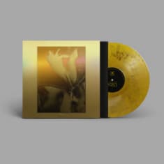 Flying Lotus - 1983 - Rsd Gold Splatter (LP)