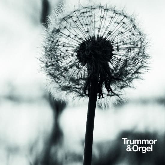Trummor & Orgel - Graceful Degradation / New Beginnin (CD)