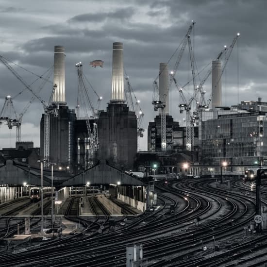 Pink Floyd - Animals (2018 Remix) (LP)