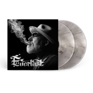 Everlast - Embers To Ashes (LP)