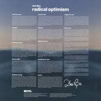 Dua Lipa - Radical Optimism - Picture Disc (LP)