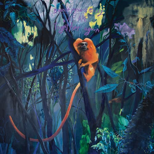 Bonnie Prince Billy - We Are Together Again (LP)