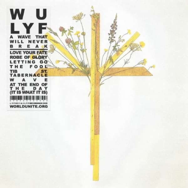 Wu Lyf - A Wave That Will Never Break (LP)