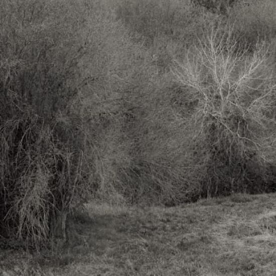 Leimer K. - Atrophies For Piano (LP)
