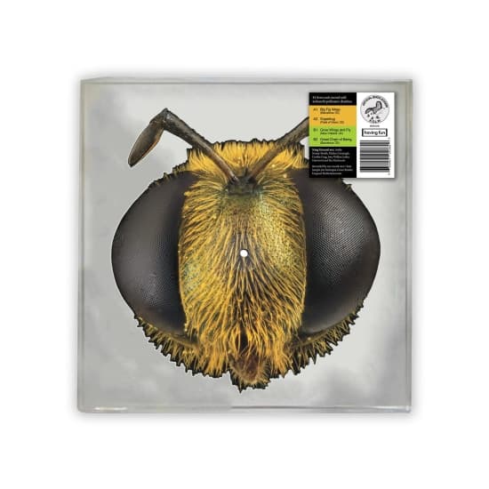 King Gizzard & The Lizard Wizard - Big Fig Wasp (Bi/insektformet Vinyl) (LP)