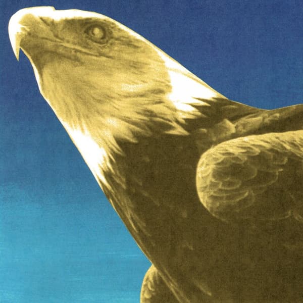 Protomartyr - Hotel Usona (Gold Vinyl) (LP)