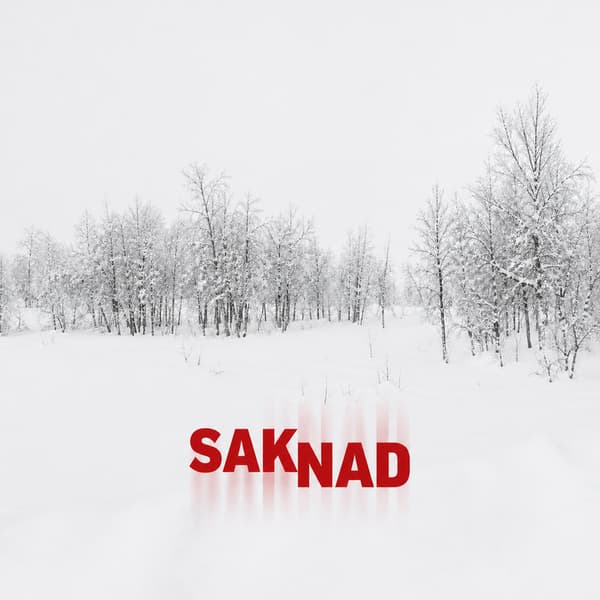 Saknad - Saknad (LP)