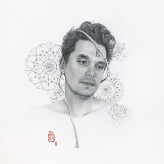 Mayer John - The Search For Everything (LP)