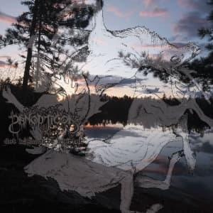Panopticon - Det Hjemsøkte Hjertet (CD)