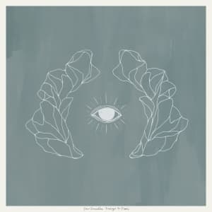 José González - Vestiges & Claws (Reissue) (LP)