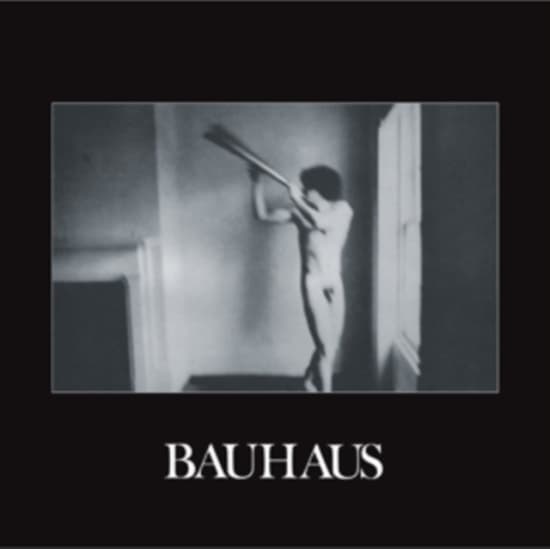 Bauhaus - In The Flat Field (LP)