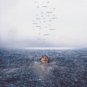SHAWN MENDES - Wonder (LP)