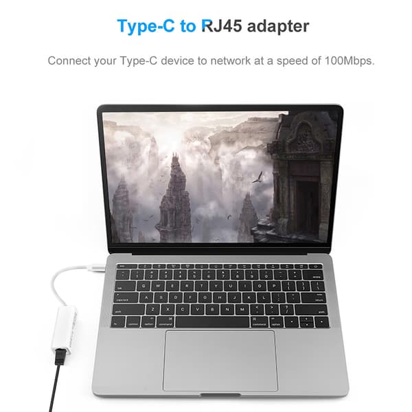 USB 3.1 Type C til RJ45 100Mbps Ethernet LAN Netværksadapter Konverter til MacBook USB-C Laptop
