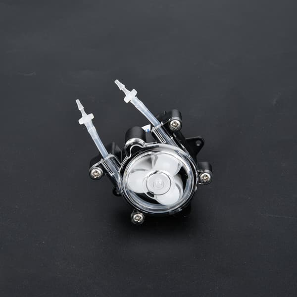 Mini peristaltisk pump hög kvalitet för laboratoriebioteknik G528 DC12V (Typ A)
