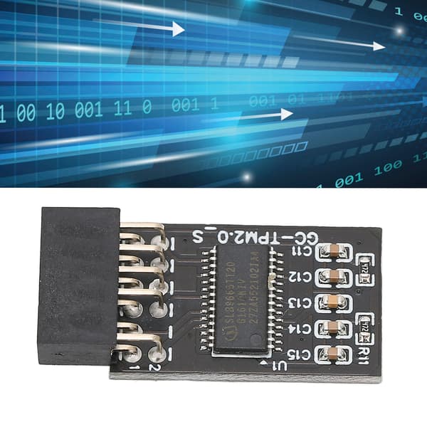 TPM 2.0 Krypteringssäkerhetsmodul för GIGABYTE 12Pin LPC-gränssnitt Högsäkerhetsfjärrkort Krypteringssäkerhetsmodul