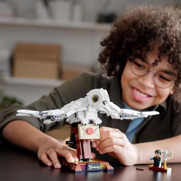 LEGO® Harry Potter™ 75979 Hedwig