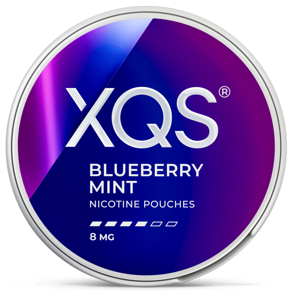 XQS Blueberry Mint 8 mg 10-pack