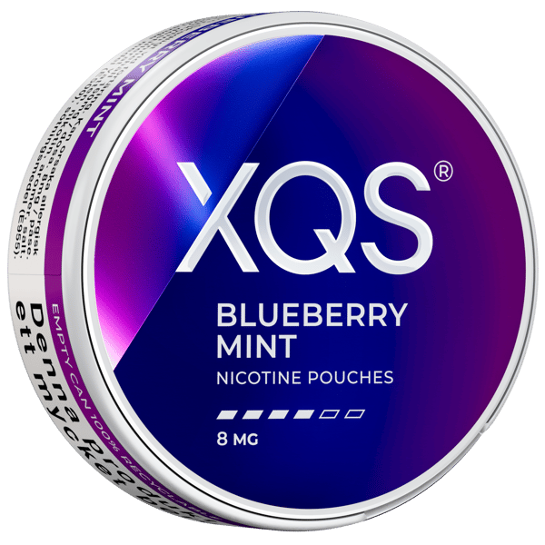 XQS Blueberry Mint 8 mg 10-pack